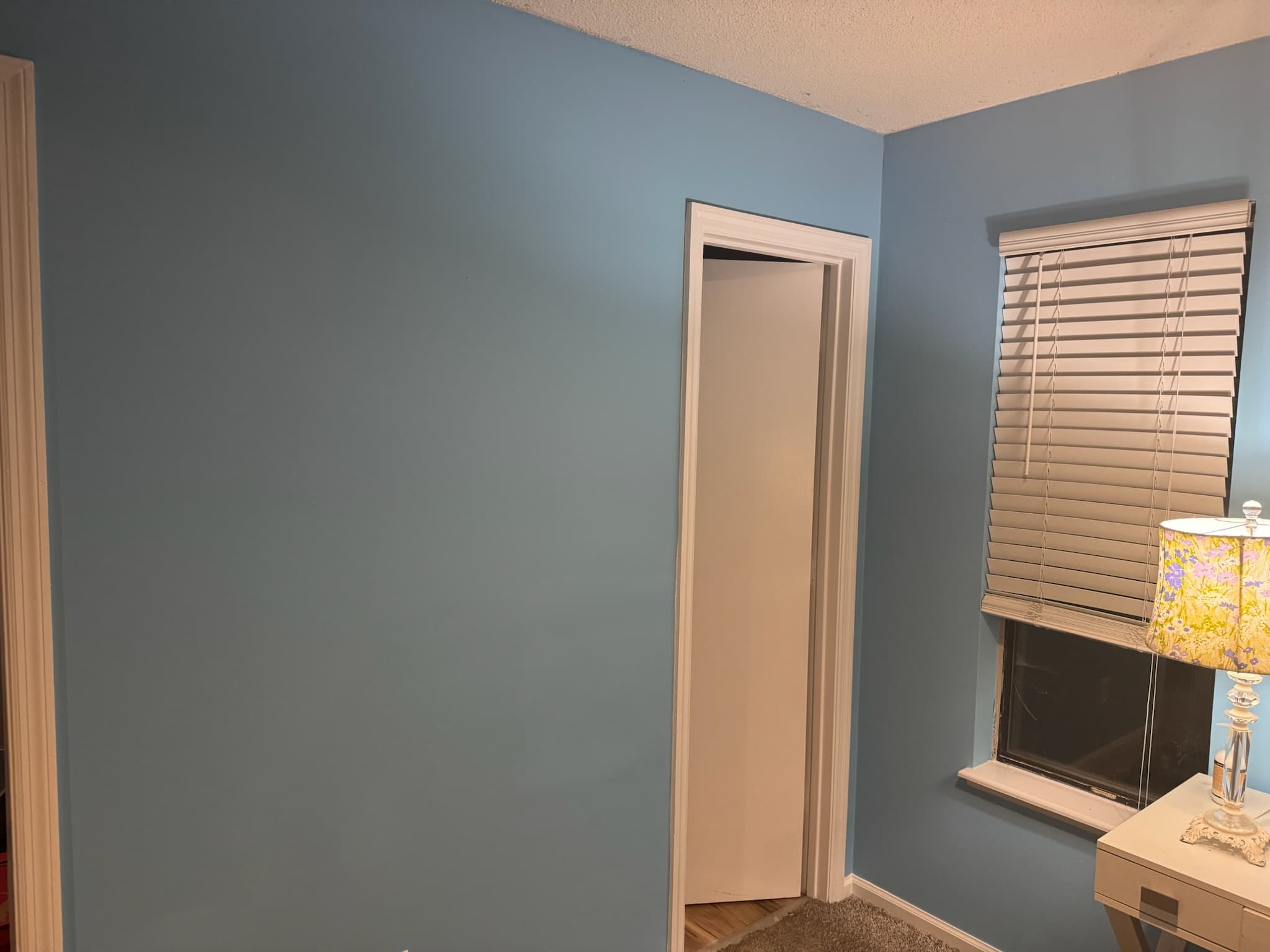 Light blue room featuring a white door, window with blinds, and a floral lamp.
